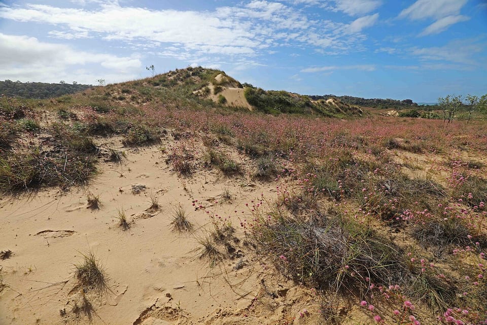 グルートアイランド島（オーストラリア）