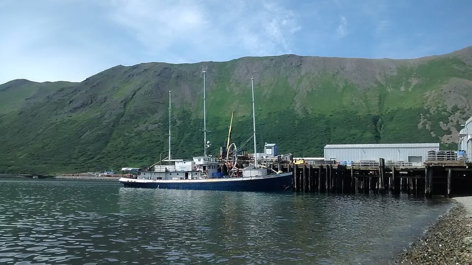 King Cove(アメリカ)