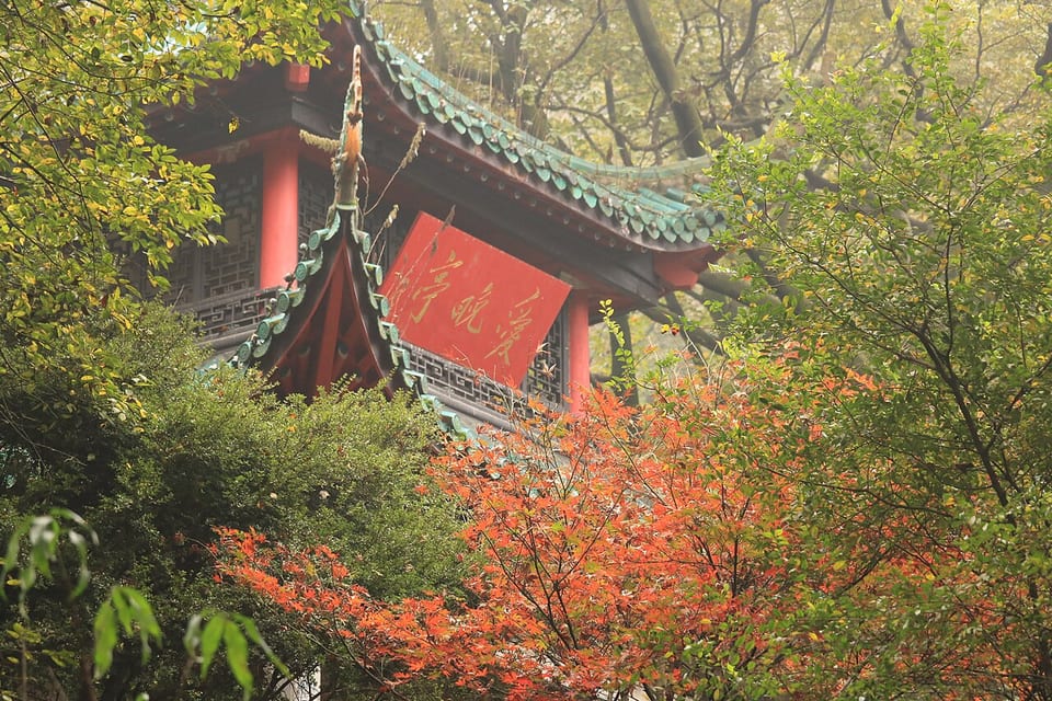 長沙(中国)