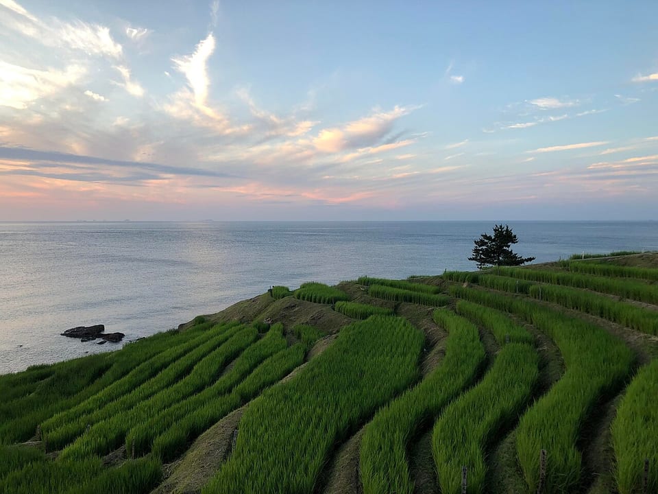 輪島(日本)